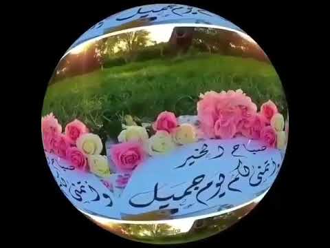 كلمة طيبة كشجرة طيبة أصلها ثابت وفرعها في السماء