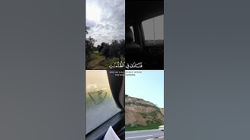 قران كريم ..... القارئ عمر ابودهاك ..  #اكسبلور #المصحف #قران #لايك