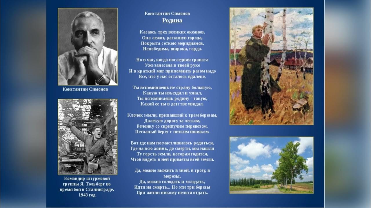 Береза стихотворение о войне. Стихотворение Симонова Родина. Стих Константина Симонова Родина.