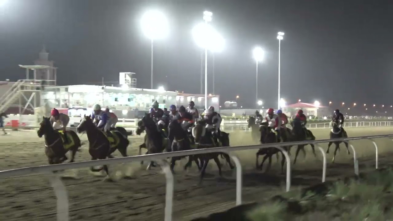 الاجتماع 18 الشوط الثالث  المركز الاول الجواد ناموس اسطبل الساري