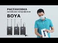 Набор радиомикрофонов BOYA. Распаковка посылки из Китая