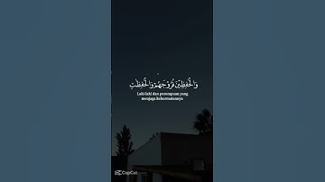 #القران الكريم  #سورة-الاحزاب #سورة_البقرة  #سورة_الكهف  #سورة_يس  #سورة_الواقعة #غزة #bmw