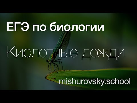 Acid Rain | Unified State Exam Biology