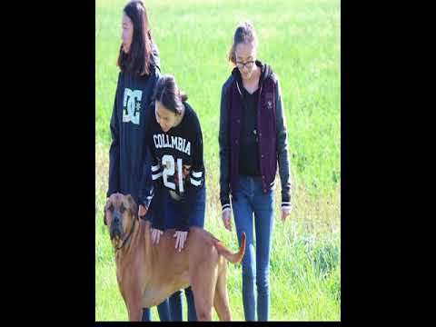 integrating-service-learning-into-a-research-course-at-brock-university