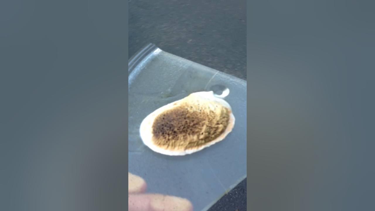 Eraser in microwave liquid rubber YouTube