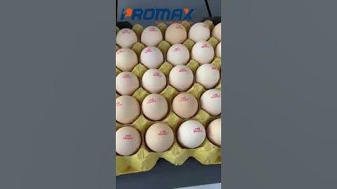 Máy in date trên trứng Aturos AS10, in date, in mã vạch, in số lô trên trứng