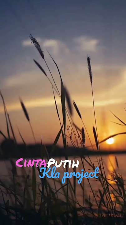 CINTA PUTIH - KLA PROJECT #shortvideo #laguhits #akstory #storywa #3001 #laguviral