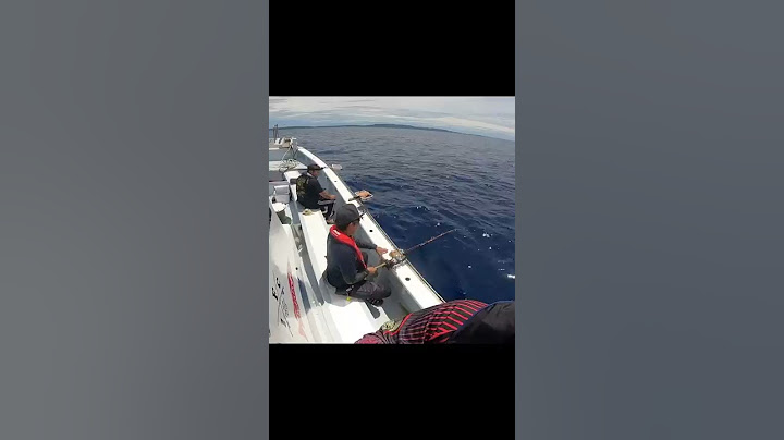 [Monster] The moment the biggest super fish in history was caught #Shorts