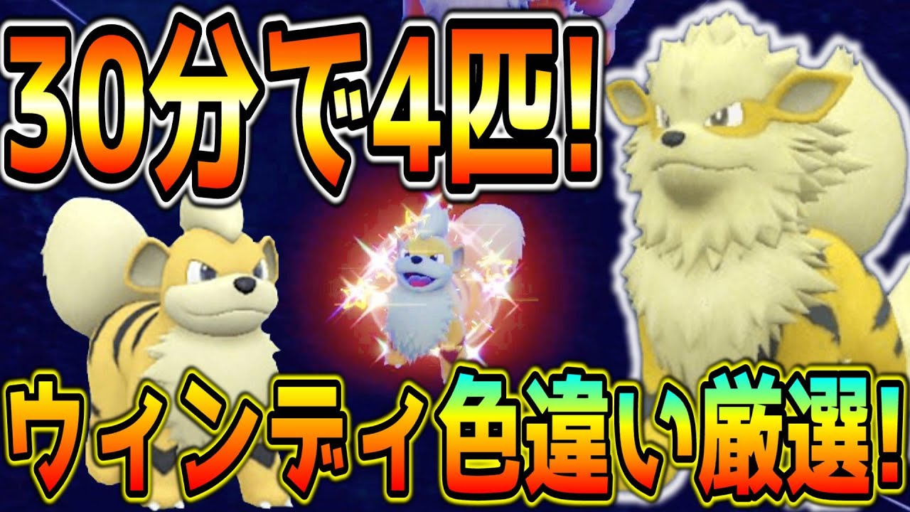 効率良いガーディ・ウィンディ色違い厳選方法！カメラ放置！【ポケモンSV】 - YouTube