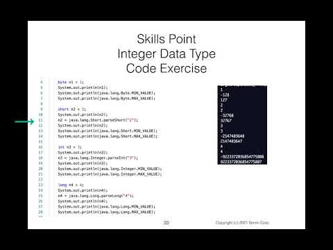 Data Structures Using Java: Primitive Data Types: int and double
