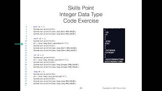Data Structures Using Java: Primitive Data Types: int and double