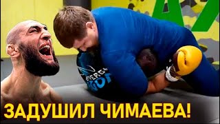 Кадыров удушающим победил Хамзата Чимаева