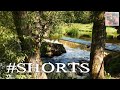 ВОДОПАД на реке ВЯТА... 01... #shorts ...Под Миорами - БЕЛАРУСЬ