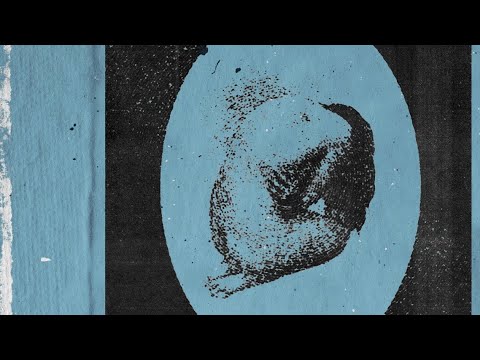 К чему снится бить. Cartoon get the brother. My brother and camera cartoon. К чему снится топот во сне. За брата рвать.