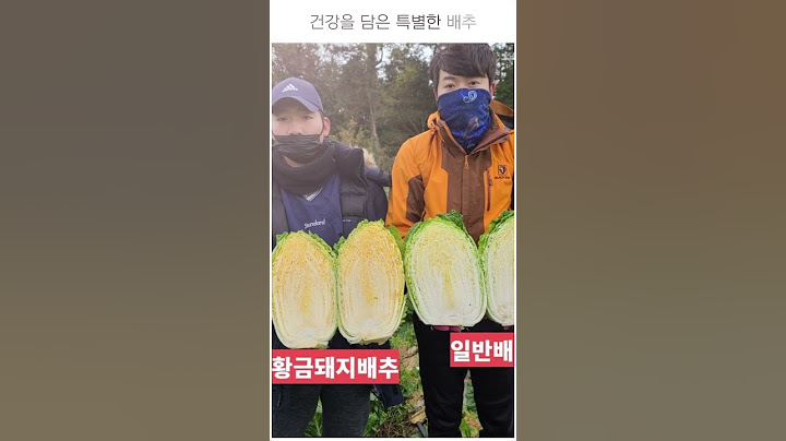 [가격에 속지마세요] 해남땅끝 절임배추