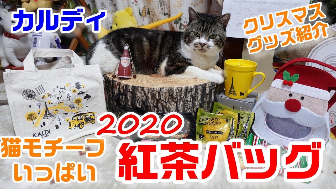 カルディ 猫好き必見 実は猫モチーフいっぱいの 紅茶バッグ を紹介するよ ネコの日バッグみたいなもん クリスマスグッズ購入したので紹介 Kaldi 福袋 リキちゃんと一緒に商品紹介 Youtube