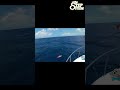 Choosing the Perfect Fishing Eyewear | Step Outside with Paul Burt