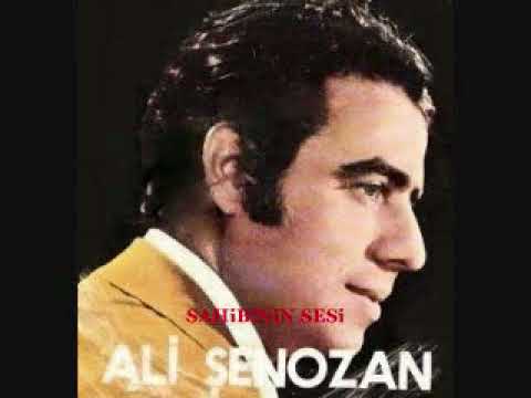 Ali Şenozan - Açmadan Sararmış Bir çiçeksin Artık