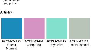 Boysen Color Trend 2024-25||Boysen Color chart||Boysen Colors combination for your wall