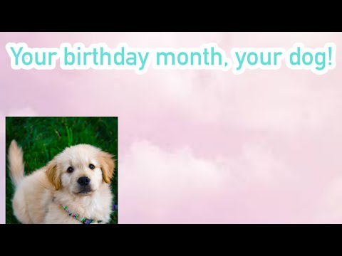 Your birthday ￼￼￼￼month, your dog!