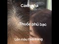 CÁCH CHẤM CHÂN TÓC BẠC , MÀU NÂU HẠT DẺ , kythuatlamtoc