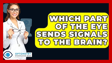 Which Part Of The Eye Sends Signals To The Brain? - Optometry Knowledge Base