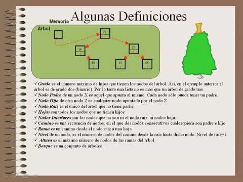 Video: ¿Qué es una estructura similar a un árbol?