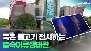 죽은 물고기 전시하는 토속어류생태관 (2022.7.14/뉴스데스크/MBC경남)