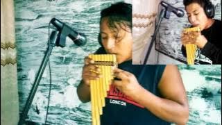 Luis Fonsi - Despacito ft. Daddy Yankee (version suling)