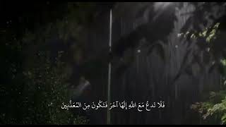 وتوكل على العزيز الرحيم 🌧💜 || ماتيسر من سورة الشعراء || القارئ : إسلام صبحي