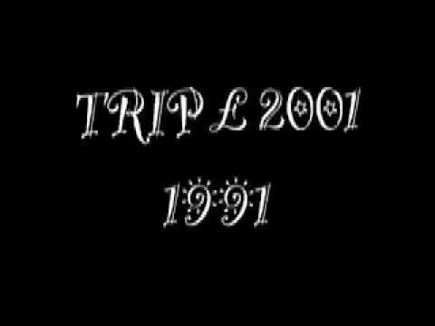 Trip 2001 — TRIP 2001 - B 1 Factor