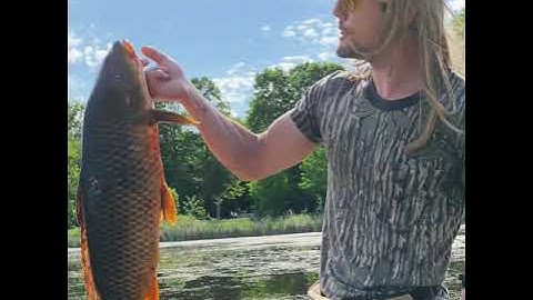 Rut Daniels - Carpin