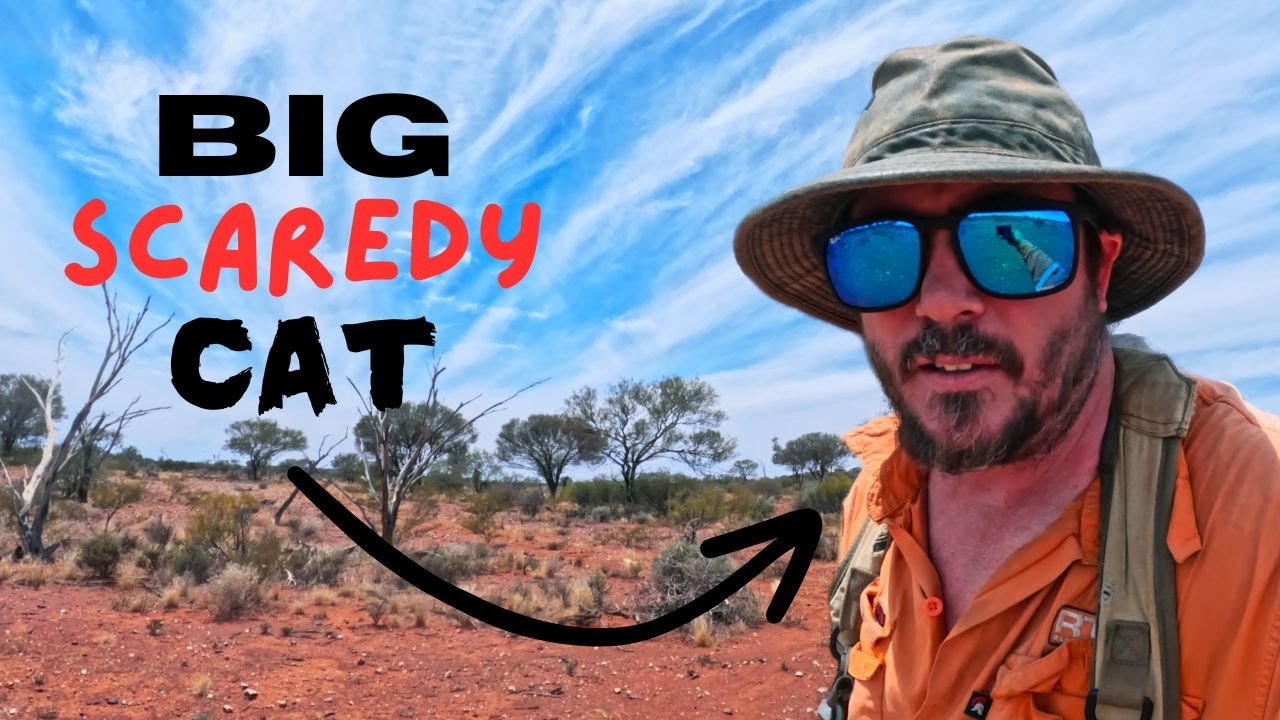 Gold Prospecting Western Australia | Big Cats in the Goldfields?