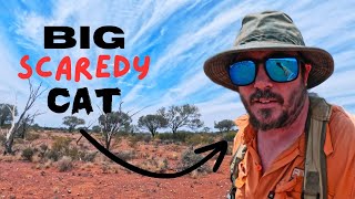 Gold Prospecting Western Australia | Big Cats in the Goldfields?