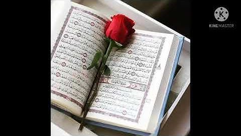 تلاوة هادئة لسورة الكهف بصوت القارئ عبد العاطي أحمد