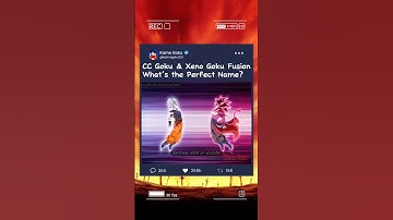 CC Goku & Xeno Goku Fusion – What’s the Perfect Name? #dragonball