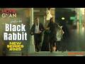 A drug addict even kills his brother for his misdeeds | Black Rabbit Explained
