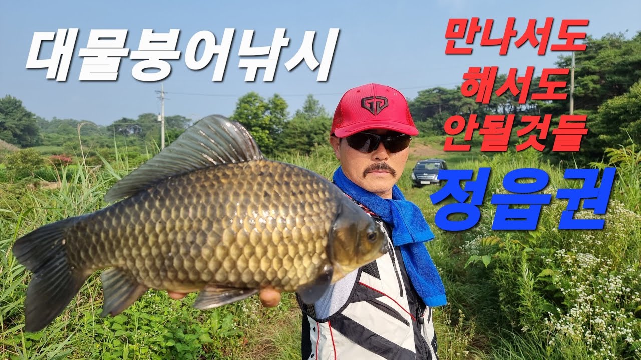 정읍권대물붕어낚시만나서도해서도안될것들