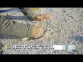 White Sands hosts programs for National Fossil Day