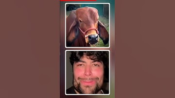 Give this video a title (wrong answers only) 🤣🤣 #shorts #shortsviral #memes