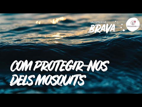 Vídeo: Com Protegir-se De Les Picades De Mosquits