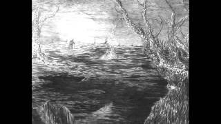 Video thumbnail of "Swamp Witch - Marsh of Delusion"