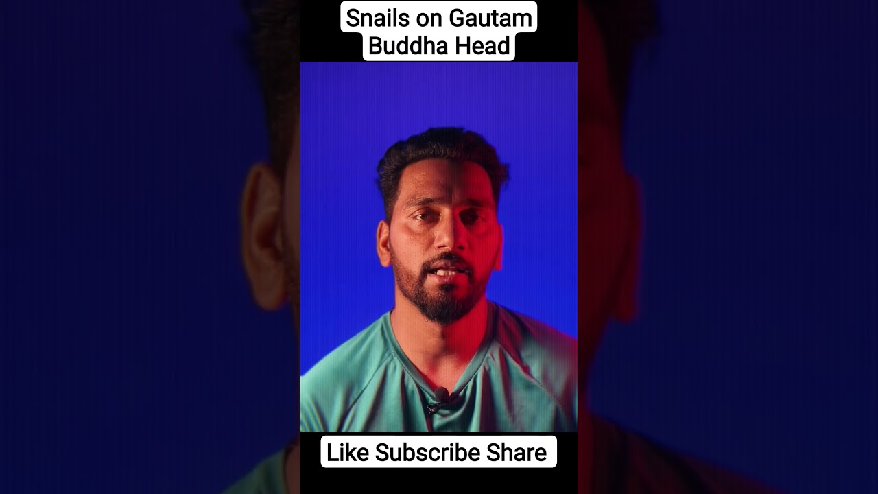 Snails on Gautam Buddha Head 