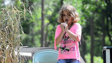 AR-080314-WaterFowl021