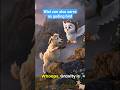 Don't Choose a Guiding Bird Without Watching This About Wini #shorts