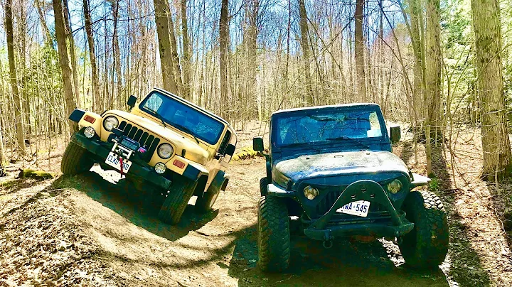 31's VS 33's For The Jeep TJ 4.0L | SURPRISING RESULTS