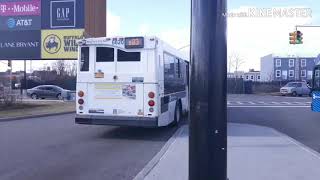 B13, B83 AND Q8 BUS ACTION