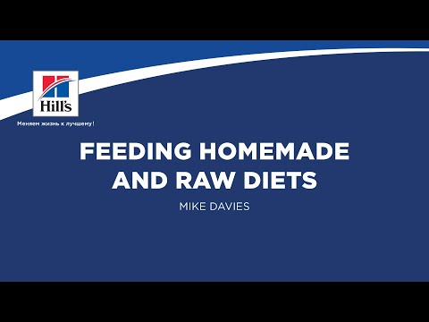 Video: Oma's Pride Recall -Omas Pride Recalls Purr Complete Feline Poultry Meal