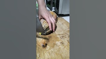 RT 898777 mini rotary tillage and ridging all-in one tree 🌲 short view #rogator #rotarymower