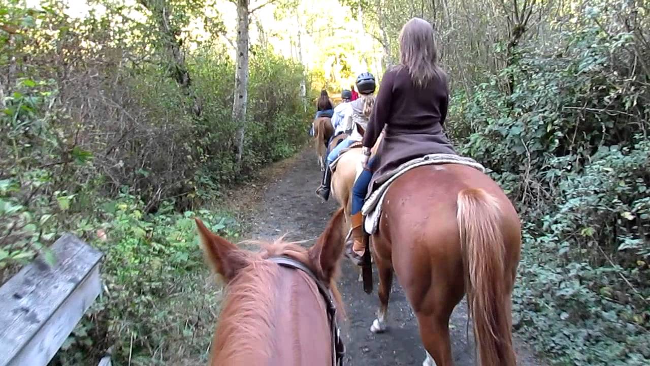 Horseback Riding at Back in the Saddle Again in Langley, BC YouTube